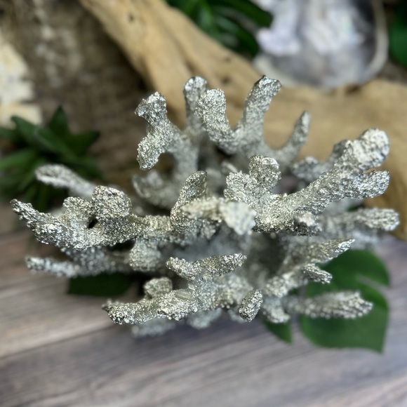 NEW Silver Poly Resin CORAL Coastal Nautical Beach Ocean Decor Bookend Shell Dis - Picture 13 of 16